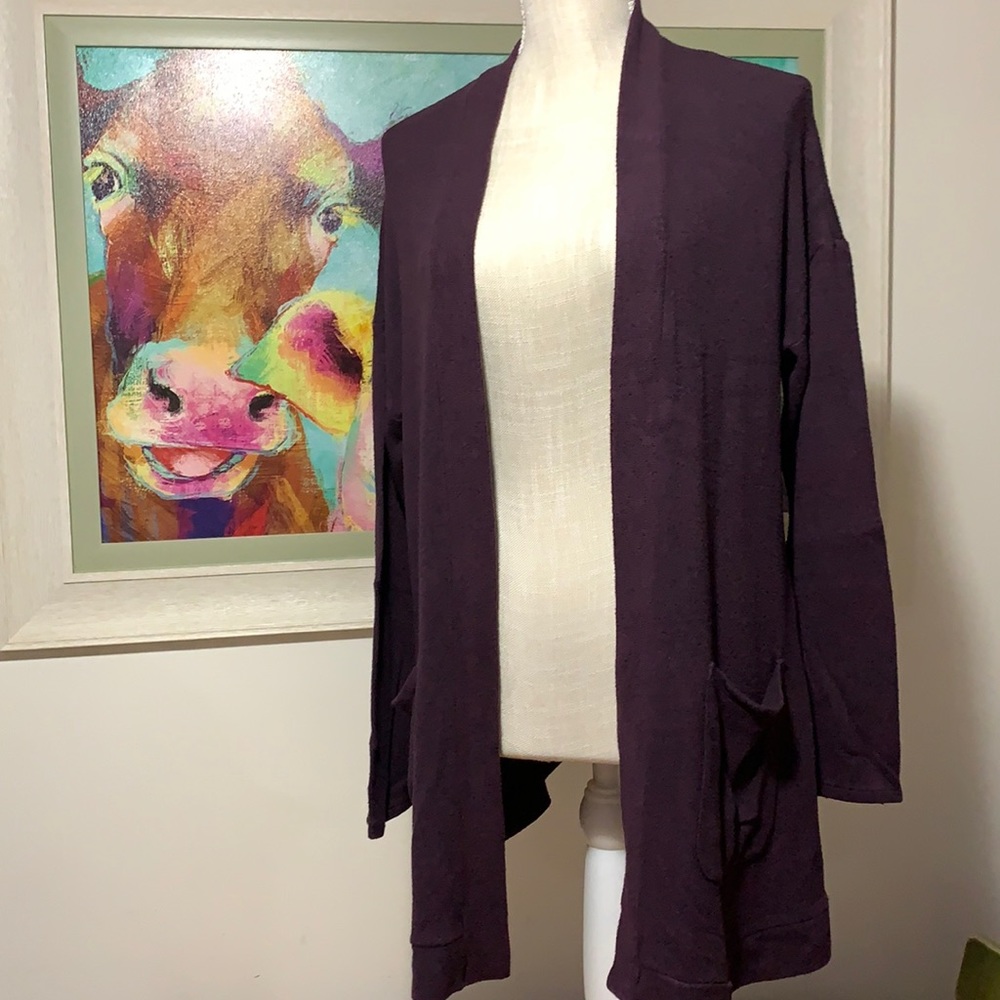 American Eagle cardigan